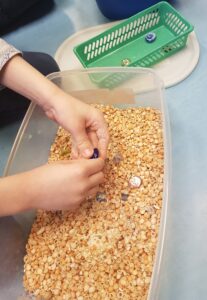 Dziecko szukające skarbów w pojemniku z ziarnami kukurydzy